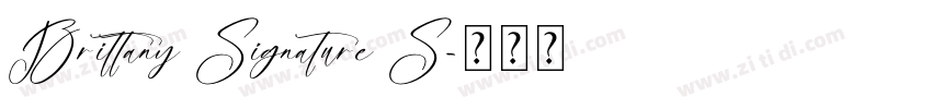 Brittany Signature S字体转换